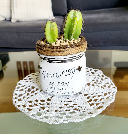 Crocheted Lace Doily – Round Cotton Centerpiece – Made in Canada