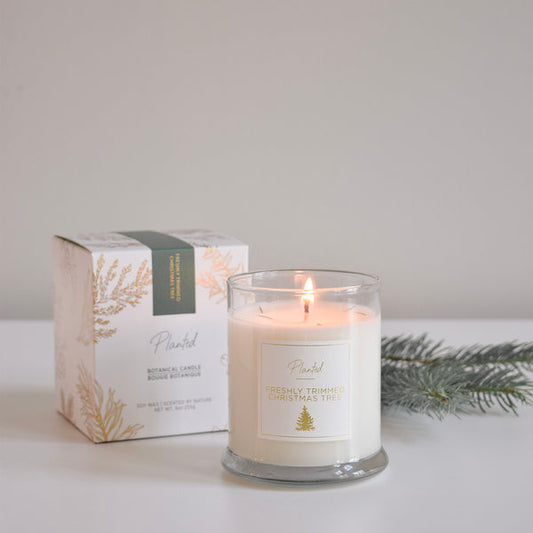 Handcrafted Soy Candle - Natural Scented Candle