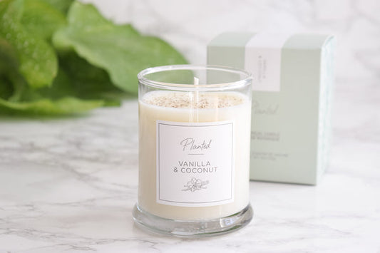 Soy Candle - Natural Scented Candle - Made in Canada