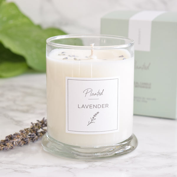 Soy Wax Candle - Calming Lavender Candle