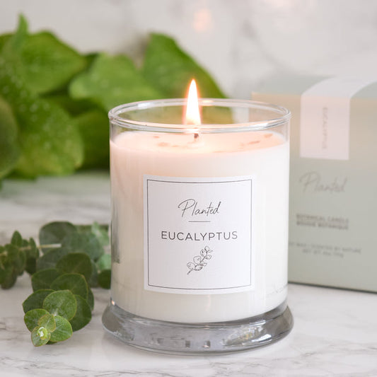 Soy Wax Candle - Energizing Eucalyptus Candle