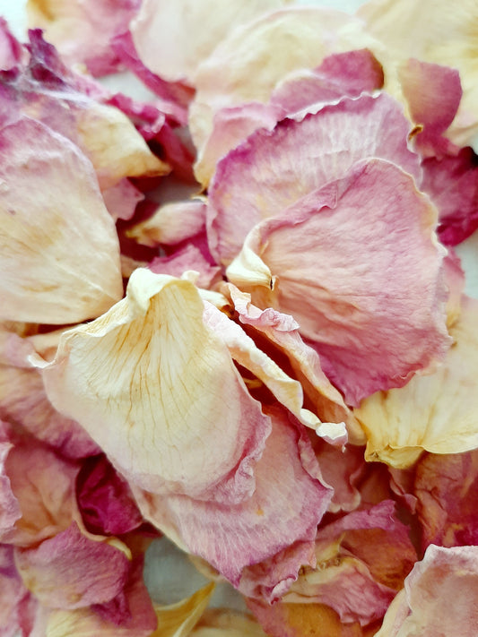 Rose Petals -  Dried Rose Petals - Homegrown Rose Petals - For Bath Soaks